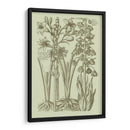 Jardín De La Flora II - Vision Studio | Cuadro decorativo de Canvas Lab