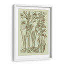 Jardín De La Flora II - Vision Studio | Cuadro decorativo de Canvas Lab