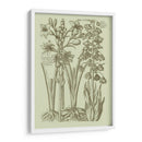 Jardín De La Flora II - Vision Studio | Cuadro decorativo de Canvas Lab