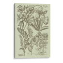 Jardín De La Flora III - Vision Studio | Cuadro decorativo de Canvas Lab