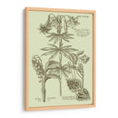 Jardín De La Flora IV - Vision Studio | Cuadro decorativo de Canvas Lab