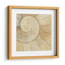 Elementos Orgánicos V - Vision Studio | Cuadro decorativo de Canvas Lab