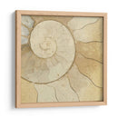 Elementos Orgánicos V - Vision Studio | Cuadro decorativo de Canvas Lab