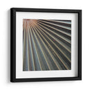 Elementos Orgánicos VI - Vision Studio | Cuadro decorativo de Canvas Lab