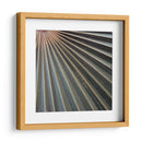 Elementos Orgánicos VI - Vision Studio | Cuadro decorativo de Canvas Lab