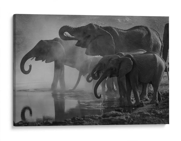 ARTTOR Cuadros Decoracion Salon Elefante Fauna Fantasía Lienzos Decorativos 50x50cm Cuadro Sobre Lienzo Moderno Dormitorio Cocina Cuadros Pared Imágenes Wall Art Prints Decor Canvas AC50x50-3079