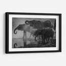 La anticipación del baño | Cuadro decorativo de Canvas Lab