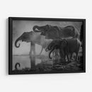 La anticipación del baño | Cuadro decorativo de Canvas Lab