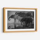 La anticipación del baño | Cuadro decorativo de Canvas Lab