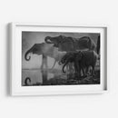 La anticipación del baño | Cuadro decorativo de Canvas Lab