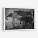 La anticipación del baño | Cuadro decorativo de Canvas Lab