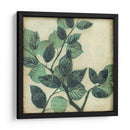 Gráfico II Hojas - Jennifer Goldberger | Cuadro decorativo de Canvas Lab