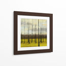 Iluminada Por El Sol Que Treeline - Jennifer Goldberger | Cuadro decorativo de Canvas Lab