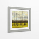Iluminada Por El Sol Que Treeline - Jennifer Goldberger | Cuadro decorativo de Canvas Lab