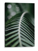 La columna de una hoja | Cuadro decorativo de Canvas Lab