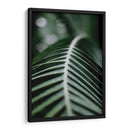 La columna de una hoja | Cuadro decorativo de Canvas Lab