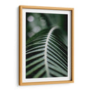 La columna de una hoja | Cuadro decorativo de Canvas Lab