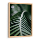 La columna de una hoja | Cuadro decorativo de Canvas Lab