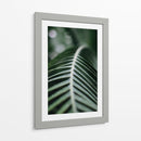 La columna de una hoja | Cuadro decorativo de Canvas Lab