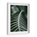 La columna de una hoja | Cuadro decorativo de Canvas Lab