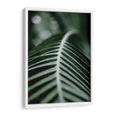 La columna de una hoja | Cuadro decorativo de Canvas Lab