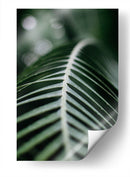 La columna de una hoja | Cuadro decorativo de Canvas Lab