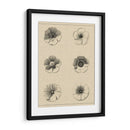 El Rosetón Floral I - Vision Studio | Cuadro decorativo de Canvas Lab