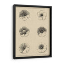 El Rosetón Floral I - Vision Studio | Cuadro decorativo de Canvas Lab