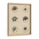 El Rosetón Floral I - Vision Studio | Cuadro decorativo de Canvas Lab