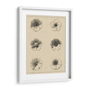 El Rosetón Floral I - Vision Studio | Cuadro decorativo de Canvas Lab