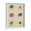 El Rosetón Floral I - Vision Studio | Cuadro decorativo de Canvas Lab