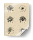 El Rosetón Floral I - Vision Studio | Cuadro decorativo de Canvas Lab