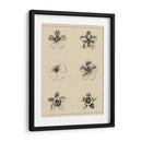 El Rosetón Floral II - Vision Studio | Cuadro decorativo de Canvas Lab