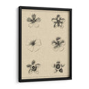 El Rosetón Floral II - Vision Studio | Cuadro decorativo de Canvas Lab