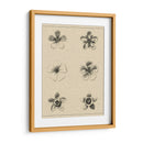 El Rosetón Floral II - Vision Studio | Cuadro decorativo de Canvas Lab