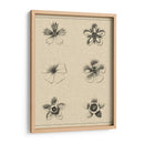 El Rosetón Floral II - Vision Studio | Cuadro decorativo de Canvas Lab