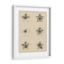 El Rosetón Floral II - Vision Studio | Cuadro decorativo de Canvas Lab