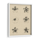 El Rosetón Floral II - Vision Studio | Cuadro decorativo de Canvas Lab