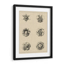 Floral Rosette III - Vision Studio | Cuadro decorativo de Canvas Lab