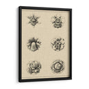 Floral Rosette III - Vision Studio | Cuadro decorativo de Canvas Lab