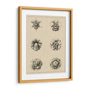 Floral Rosette III - Vision Studio | Cuadro decorativo de Canvas Lab