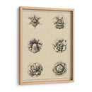 Floral Rosette III - Vision Studio | Cuadro decorativo de Canvas Lab