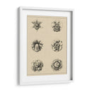 Floral Rosette III - Vision Studio | Cuadro decorativo de Canvas Lab