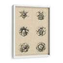 Floral Rosette III - Vision Studio | Cuadro decorativo de Canvas Lab