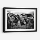 La confrontación de las rayas | Cuadro decorativo de Canvas Lab