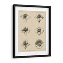 Floral Rosette IV - Vision Studio | Cuadro decorativo de Canvas Lab