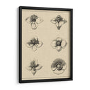 Floral Rosette IV - Vision Studio | Cuadro decorativo de Canvas Lab