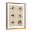 Floral Rosette IV - Vision Studio | Cuadro decorativo de Canvas Lab