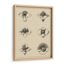 Floral Rosette IV - Vision Studio | Cuadro decorativo de Canvas Lab