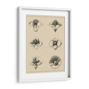 Floral Rosette IV - Vision Studio | Cuadro decorativo de Canvas Lab